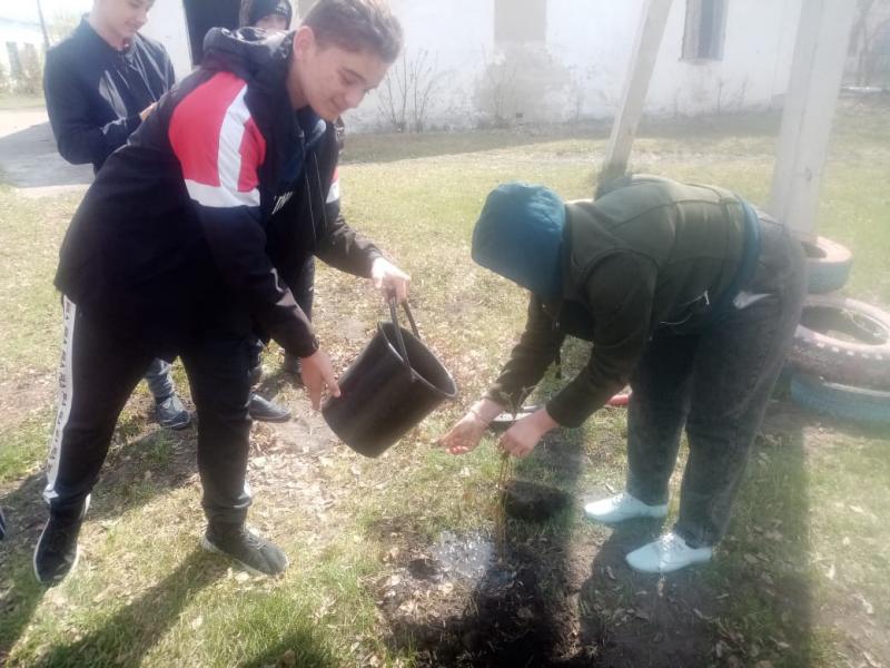 "Украсим Победу цветами"