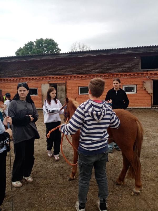 ЧЕТВЕРОНОГИЕ ТЕРАПЕВТЫ