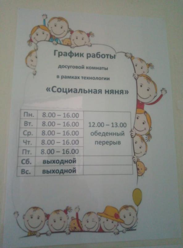 Социальная няня.