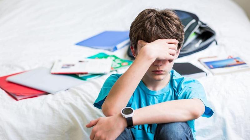 В рамках профилактики суицидального поведения подростков  1 занятие для родителей по программе "Жизнь ради жизни"