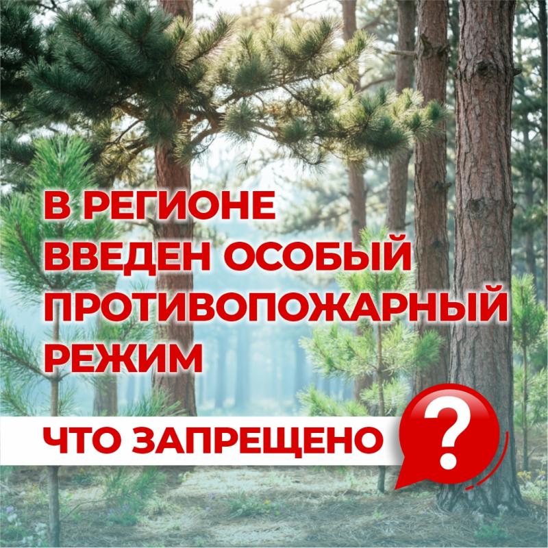 На территории Курганской области введен особый противопожарный режим, а с 22 апреля по 12 мая – запрет на посещение лесов.